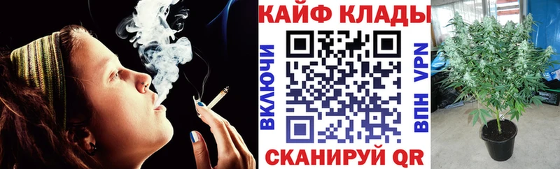 Купить закладку Псилоцибиновые грибы  МЕФ  Каннабис  Онега