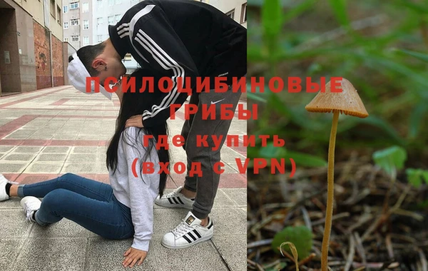 2c-b Балабаново