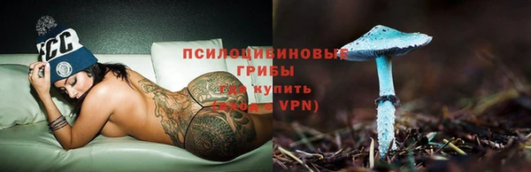 PSILOCYBIN Баксан