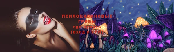 PSILOCYBIN Баксан