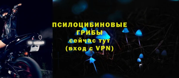 2c-b Балабаново