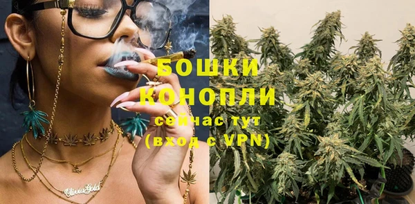 PSILOCYBIN Баксан